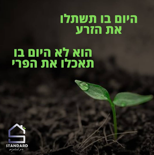 פוסט מנטלי מאת אבירם שפיץ
