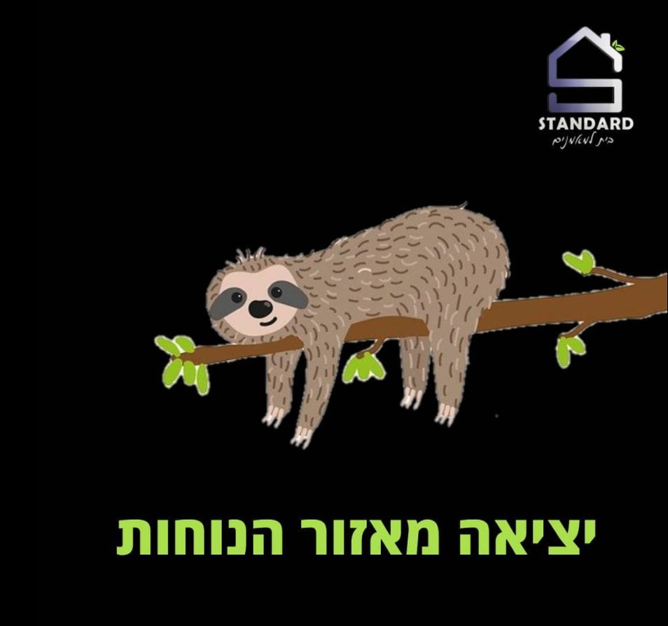 יציאה מאזור הנוחות - עצלן נח על ענף, סטנדרט בית למאמנים